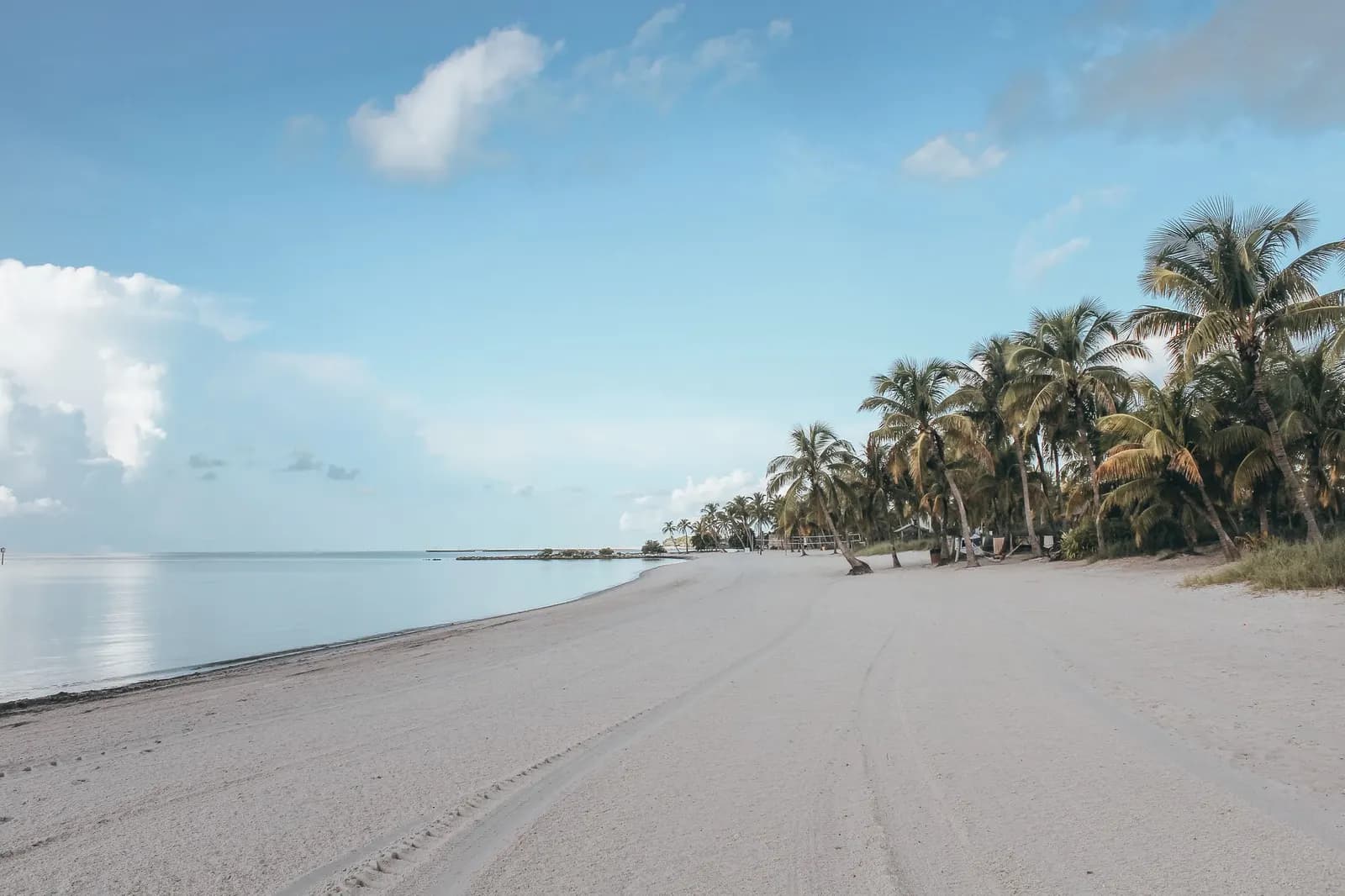 Wide sandy beach lined with palm trees