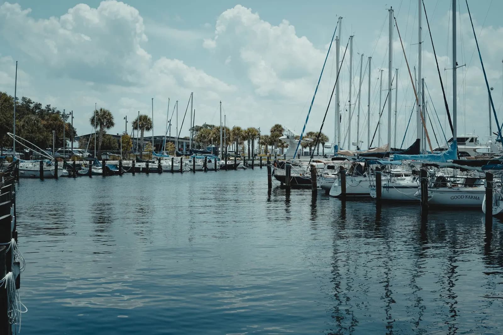 Sailboats docked at a marina under palm trees