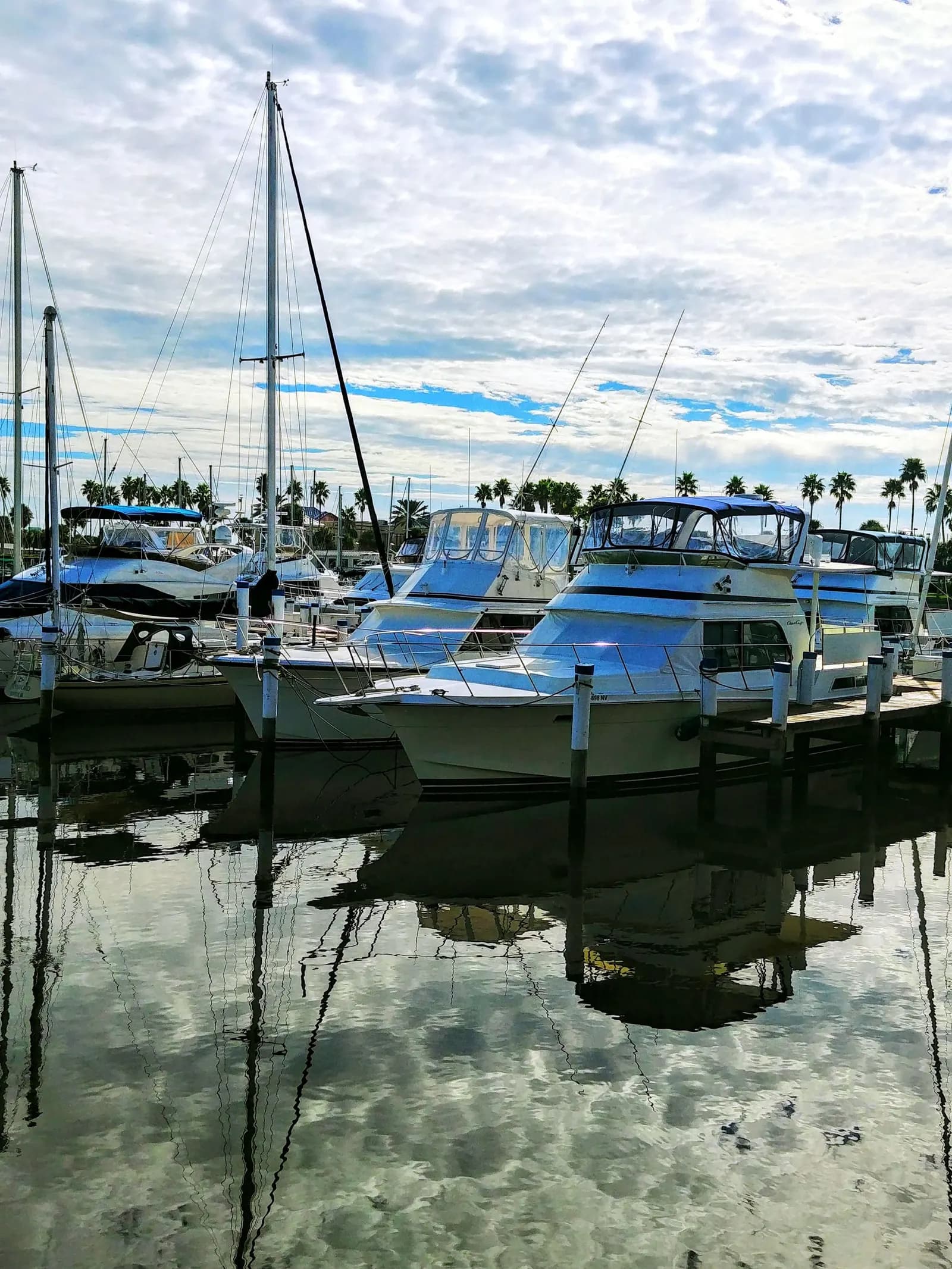 Yachts and sailboats docked at a marina with palm trees behind