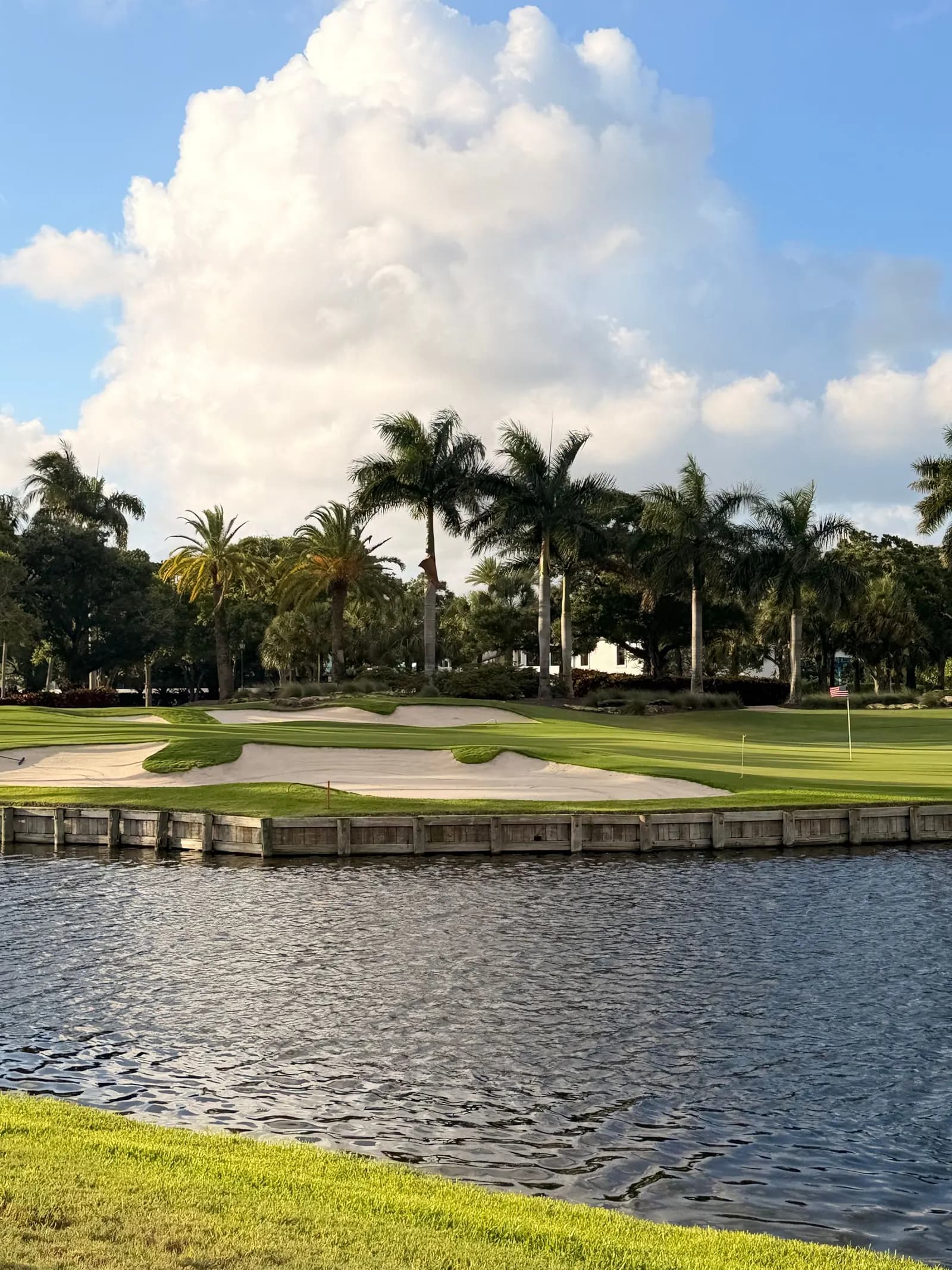 Golf course green beside a lake, lined with palm trees