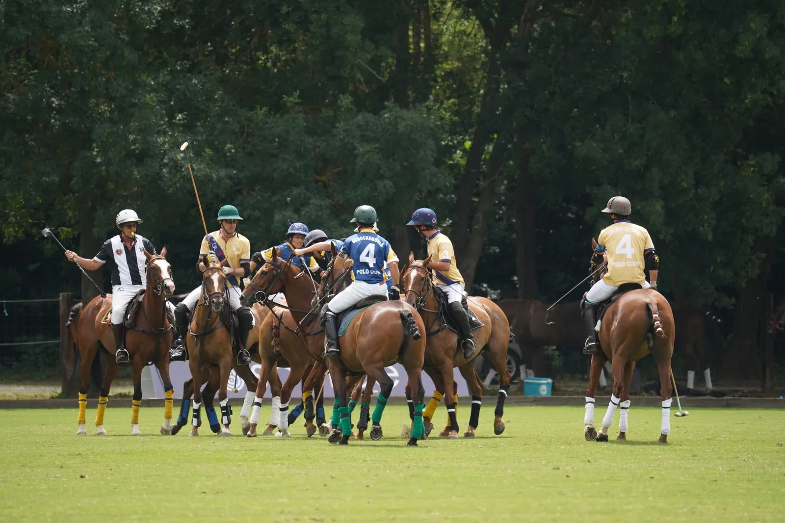 Polo players on horseback during a match on a grass field