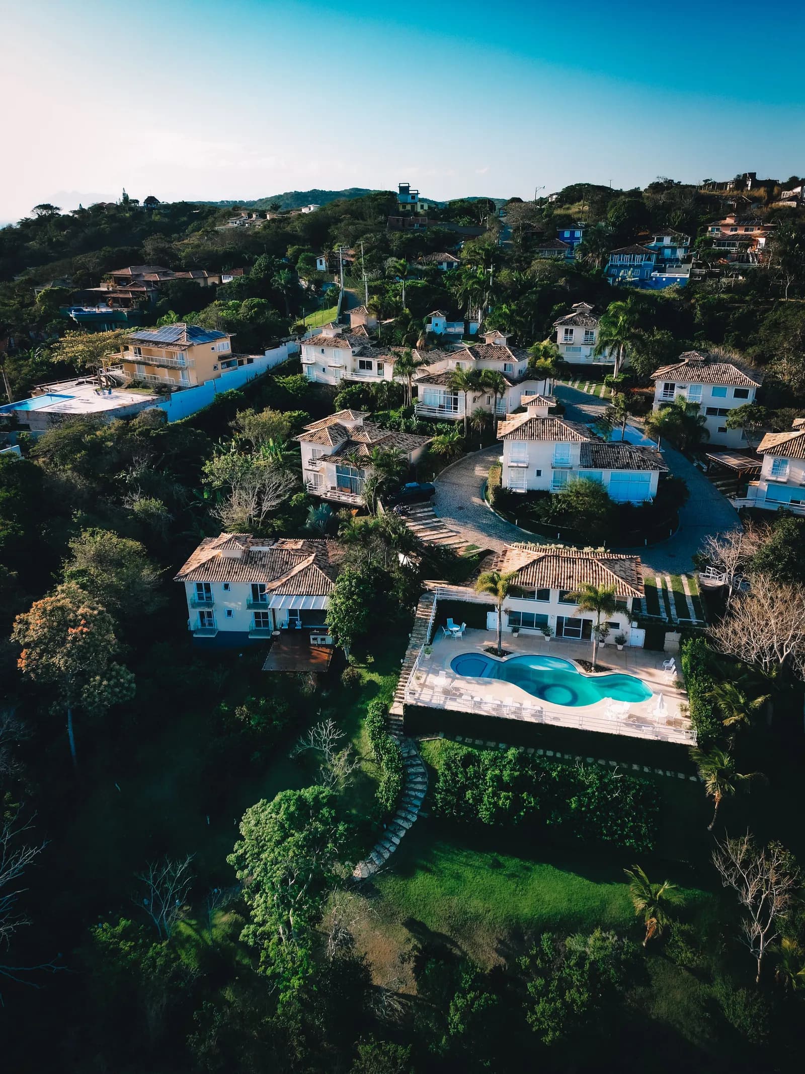 Aerial view of homes with pools among the trees